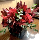 CUBE OF BURGUNDY AND RED FLOWERS from Mangel Florist, flower shop at the Drake Hotel Chicago