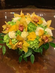Green and Yellow Orchid Arrangement  from Mangel Florist, flower shop at the Drake Hotel Chicago