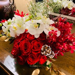 Low Holiday Arrangement from Mangel Florist, flower shop at the Drake Hotel Chicago