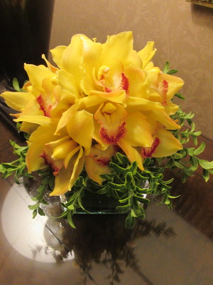 Yellow Orchid Cube  from Mangel Florist, flower shop at the Drake Hotel Chicago