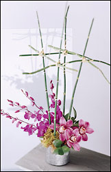 Dendrobium Orchids and River Cane Arranged from Mangel Florist, flower shop at the Drake Hotel Chicago