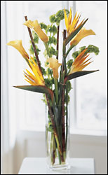 Tropical Tall Vase of Tropical Florals Arranged from Mangel Florist, flower shop at the Drake Hotel Chicago