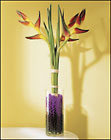 Tropic Sun Bouquet 