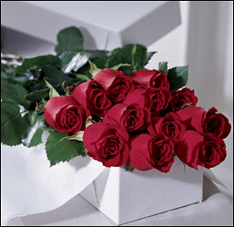 One Dozen Boxed Roses from Mangel Florist, flower shop at the Drake Hotel Chicago