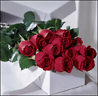 One Dozen Boxed Roses 
