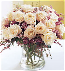 18 Roses Arranged from Mangel Florist, flower shop at the Drake Hotel Chicago