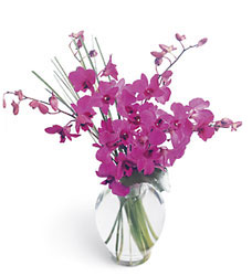 Morning Joy Bouquet 