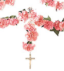 Prayerful Farewell Rosary 