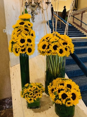 Sunflower Collection  from Mangel Florist, flower shop at the Drake Hotel Chicago