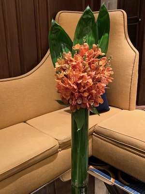 Tall Orchid Arrangement  from Mangel Florist, flower shop at the Drake Hotel Chicago