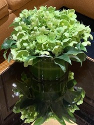 Low Hellebore Arrangement  from Mangel Florist, flower shop at the Drake Hotel Chicago