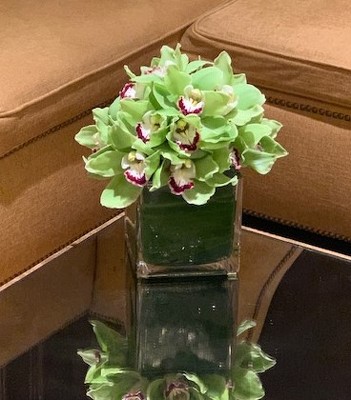 Low Orchid Cube from Mangel Florist, flower shop at the Drake Hotel Chicago
