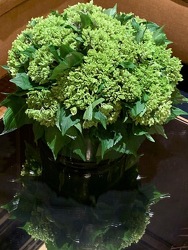 Low Mini Green Hydrangea from Mangel Florist, flower shop at the Drake Hotel Chicago