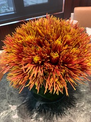 Long Lasting Mum Arrangement from Mangel Florist, flower shop at the Drake Hotel Chicago