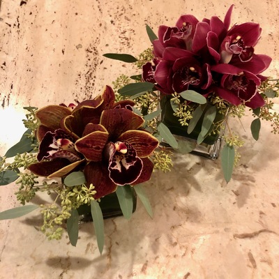 Burgundy Cymbidium Orchid Cube from Mangel Florist, flower shop at the Drake Hotel Chicago