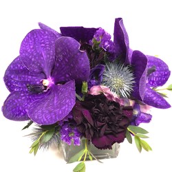Purple Vanda Orchid Cube from Mangel Florist, flower shop at the Drake Hotel Chicago