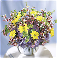 Fresh as a Daisy Bouquet from Mangel Florist, flower shop at the Drake Hotel Chicago