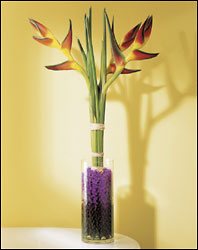Tropic Sun Bouquet from Mangel Florist, flower shop at the Drake Hotel Chicago
