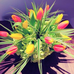 Tulip Arrangement  from Mangel Florist, flower shop at the Drake Hotel Chicago